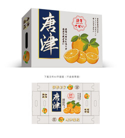 唐津蜜橘设计