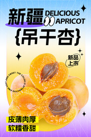 新疆吊干杏