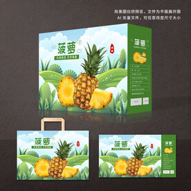 菠萝包装