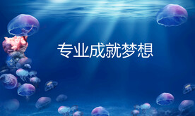 海