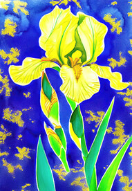 鸢尾花水彩画
