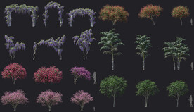 植物