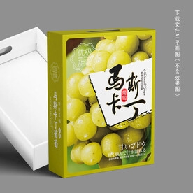 马斯卡丁葡萄