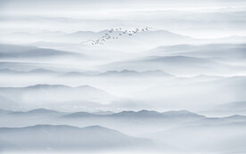 新中式禅意山水画