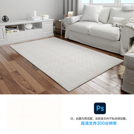 肌理客厅床边地毯地垫