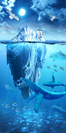 缤纷海底世界海豚玄关