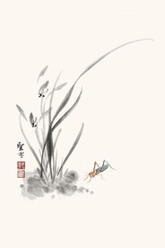 兰花