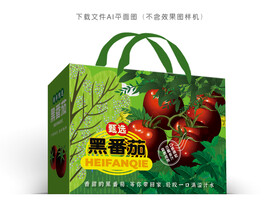 黑番茄设计
