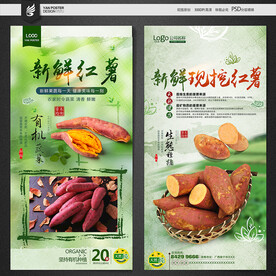 红薯