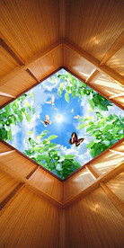 植物树叶天空玄关