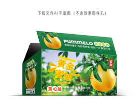 黄金蜜柚彩盒