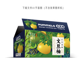 文旦柚彩盒