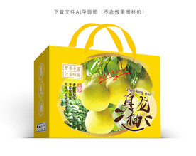 真龙柚礼盒