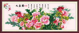 国色天香牡丹花