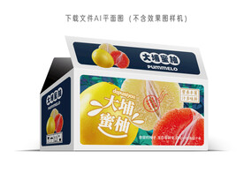 大埔蜜柚包装 
