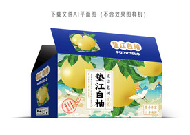 垫江白柚礼盒