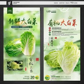 大白菜