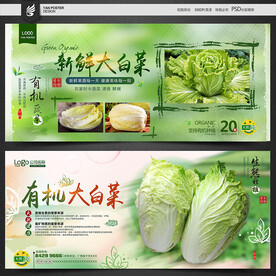 大白菜