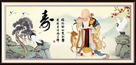 老寿星