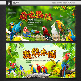 鹦鹉