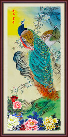 国画孔雀