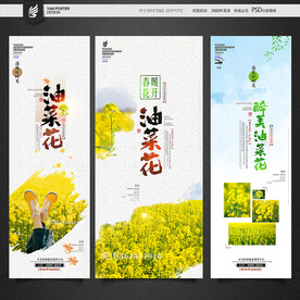 油菜花