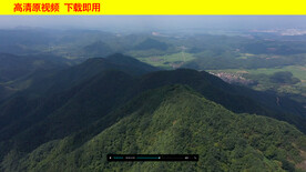 森林大山