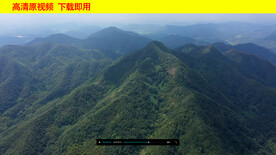 森林大山 