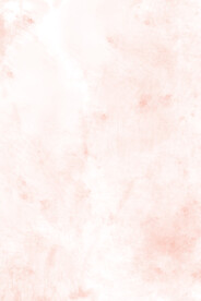 纸张