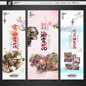 海棠花