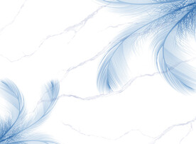 蓝调爵士白羽毛背景装饰画