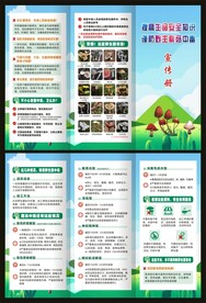 野生毒蘑菇中毒三折页