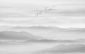 山水水墨画风景图