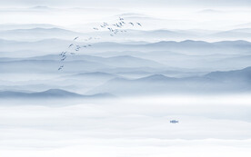 新中式山水背景墙