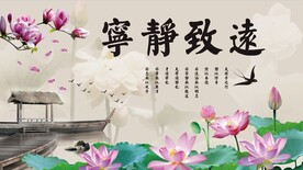 宁静致远电视背景墙