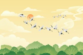 仙鹤 