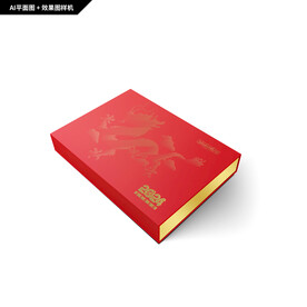 礼品包装 龙年礼盒