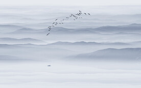 新中式水墨山水画背景墙