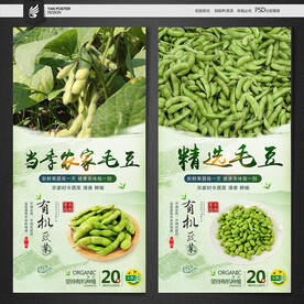 毛豆