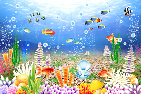 海底世界