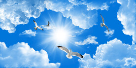 蓝天白云天花软膜