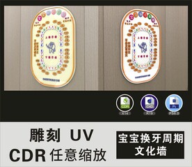 宝宝换牙周期