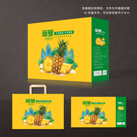 菠萝包装