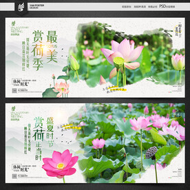 赏荷花