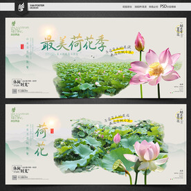 荷花