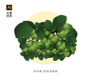奇异莓插画