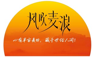 风吹麦浪日落素材