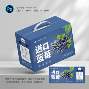 蓝莓包装礼盒