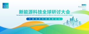 新能源峰会背景