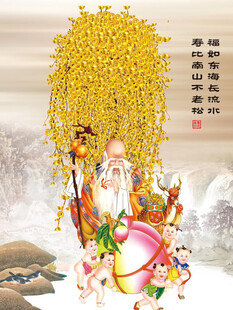 老寿星